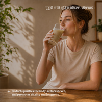 Organic GUDUCHI Stem Powder