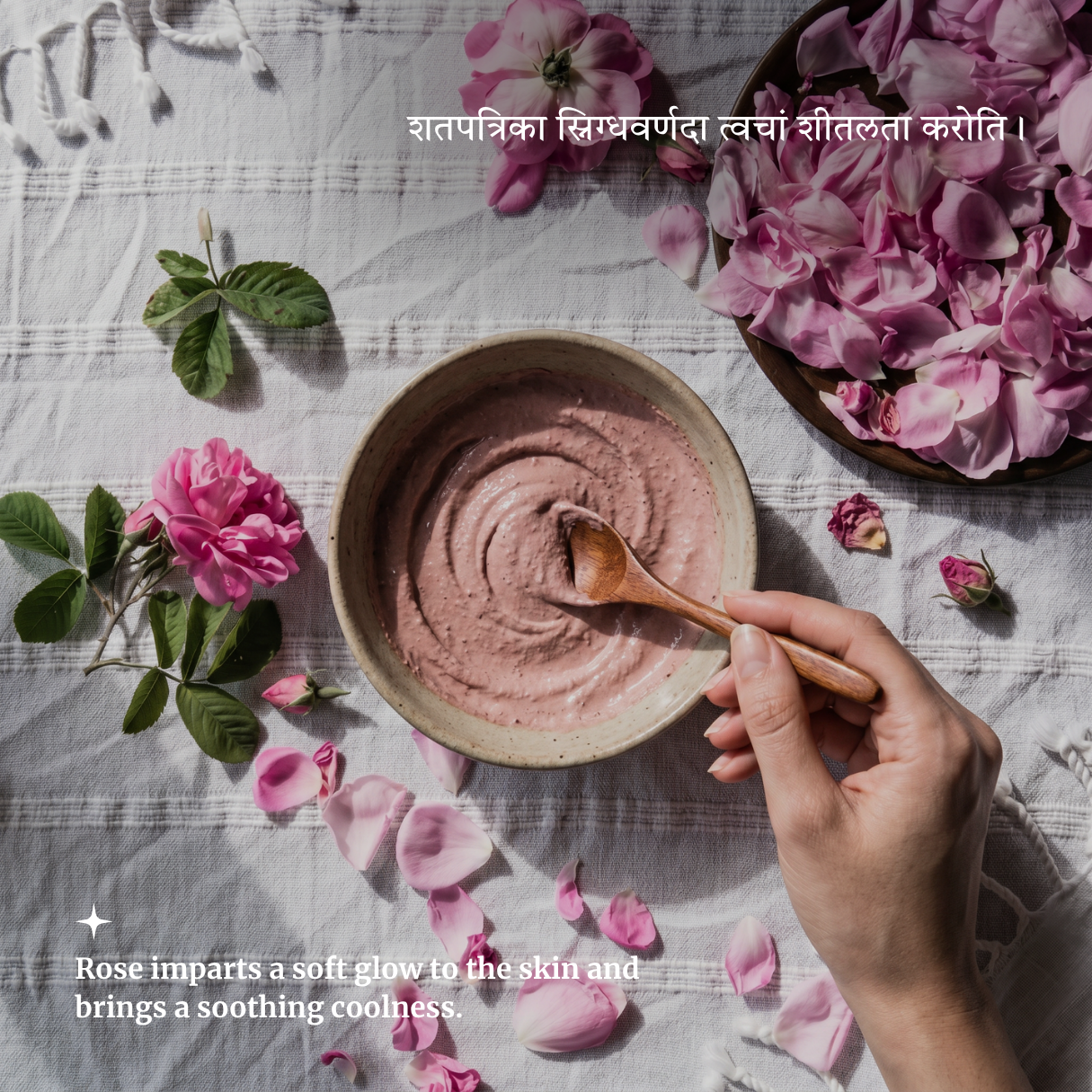 Organic ROSE Powder