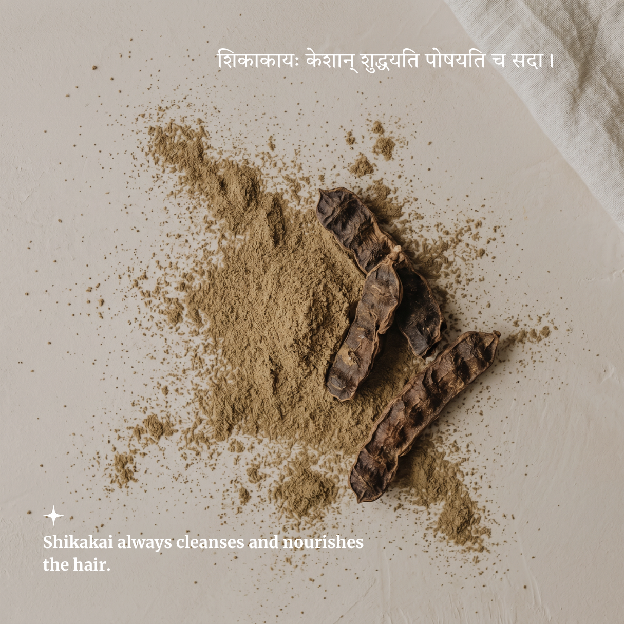 Organic SHIKAKAI Powder