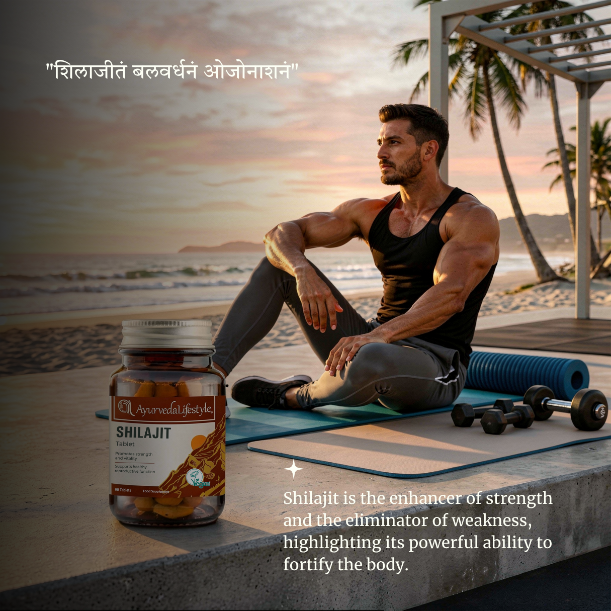 Organic SHILAJIT Tablet