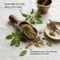 Organic TULSI Powder